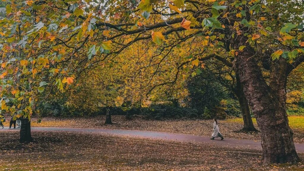 Mùa thu ở xứ Edinburgh, bức tranh cổ tích giữa lòng châu Âu