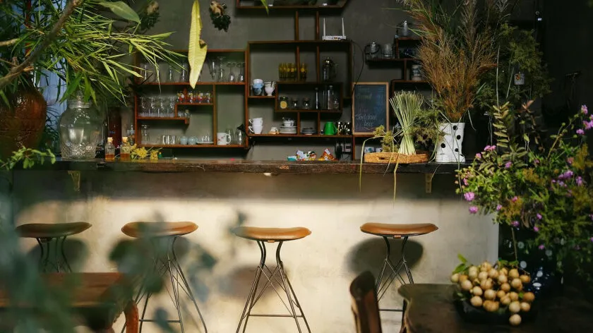 Ngôi nhà “hoa bay bướm lượn” giữa miền hoa Sa Đéc – Khám phá sức hút độc đáo