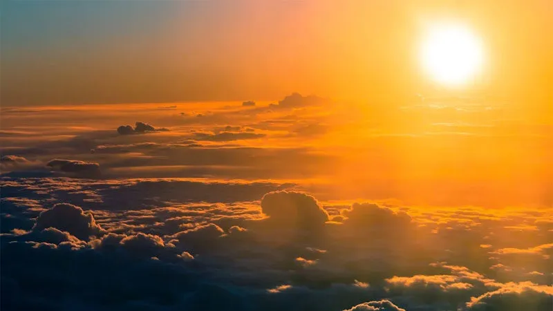 Nguồn Sống Khi Ánh Mặt Trời Là Nghệ Thuật Của Sự Sống