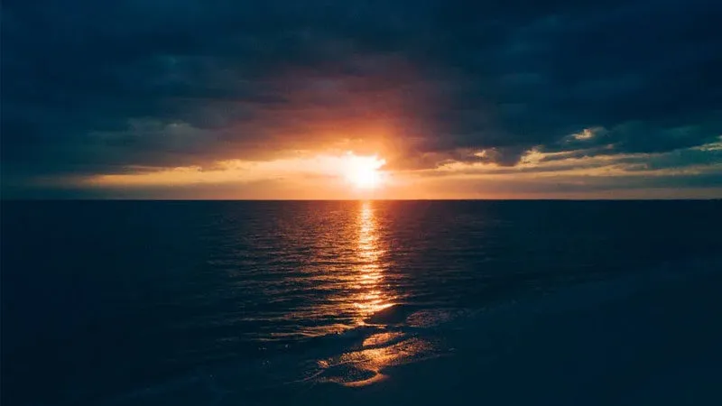 Nguồn Sống Khi Ánh Mặt Trời Là Nghệ Thuật Của Sự Sống