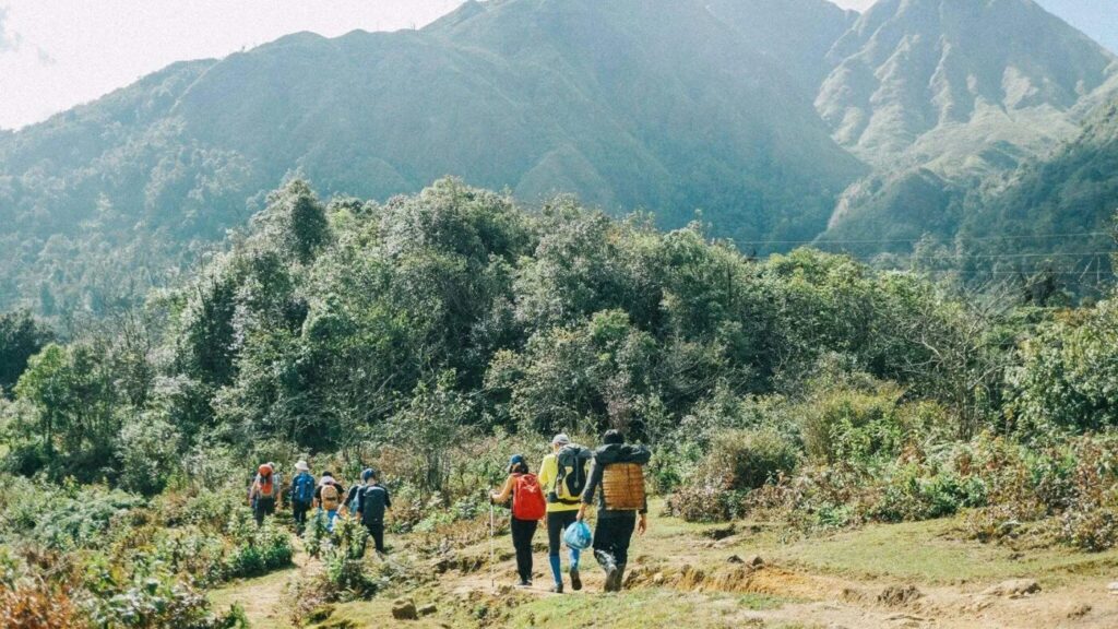 Khám Phá Rừng Già Hoàng Liên Sơn – Hành Trình Chạm Tới “Nóc Nhà Đông Dương”