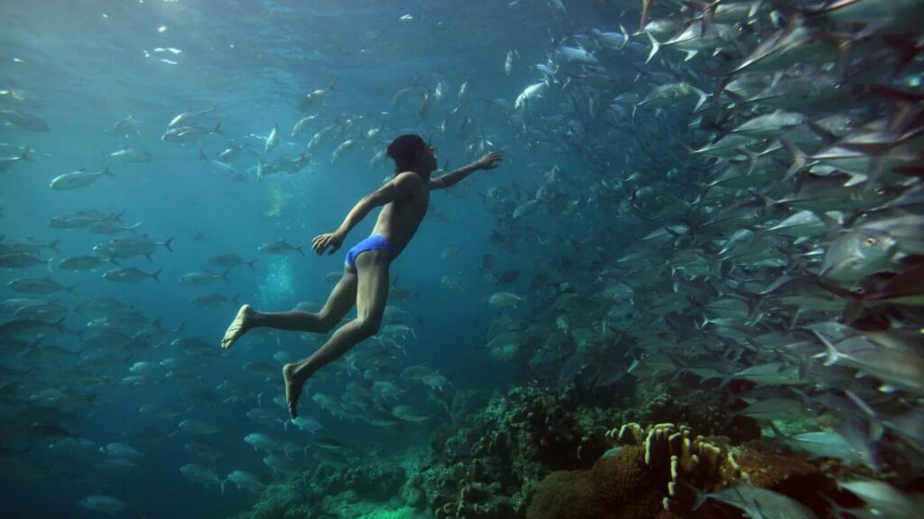 Bộ tộc “người cá” Bajau coi biển là nhà 7 điều bạn cần biết