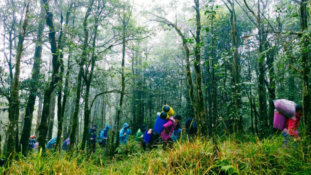 Khám Phá Rừng Già Hoàng Liên Sơn – Hành Trình Chạm Tới “Nóc Nhà Đông Dương”