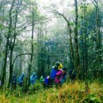 Khám Phá Rừng Già Hoàng Liên Sơn – Hành Trình Chạm Tới “Nóc Nhà Đông Dương”