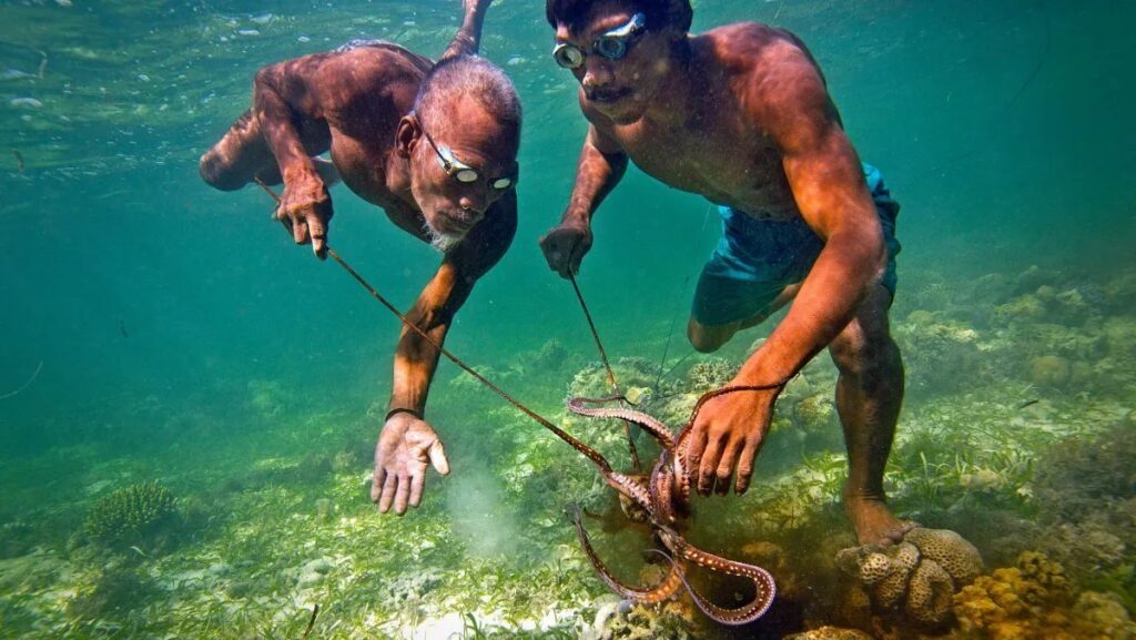 Bộ tộc “người cá” Bajau coi biển là nhà 7 điều bạn cần biết