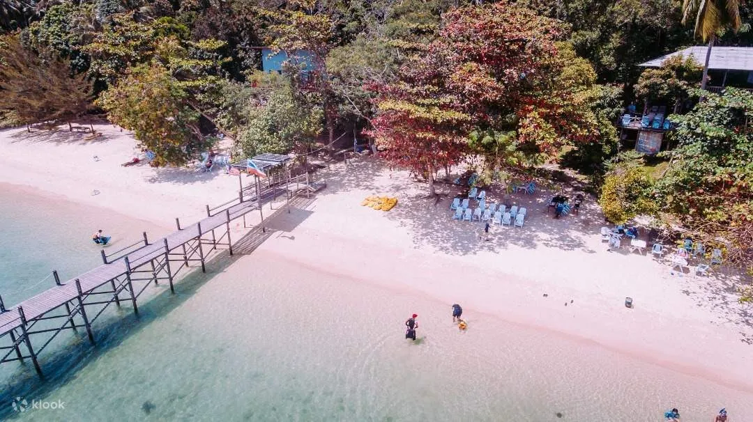 Đi bộ dưới biển và những điều kỳ thú khi đến đảo Sepanggar, Malaysia