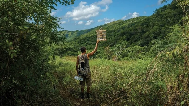 Năm điểm đến tuyệt vời khi độc hành ở Cuba